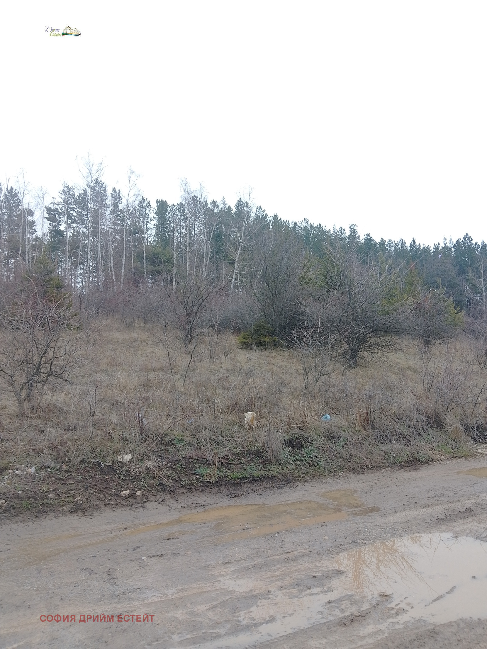 ������� ������ | Imot.bg � ����������� 3