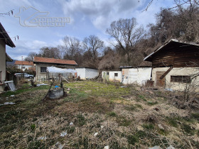 ����� ������� ����,���� �����, �. ����� �������