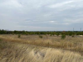 Парцел с. Брестник, област Пловдив 2