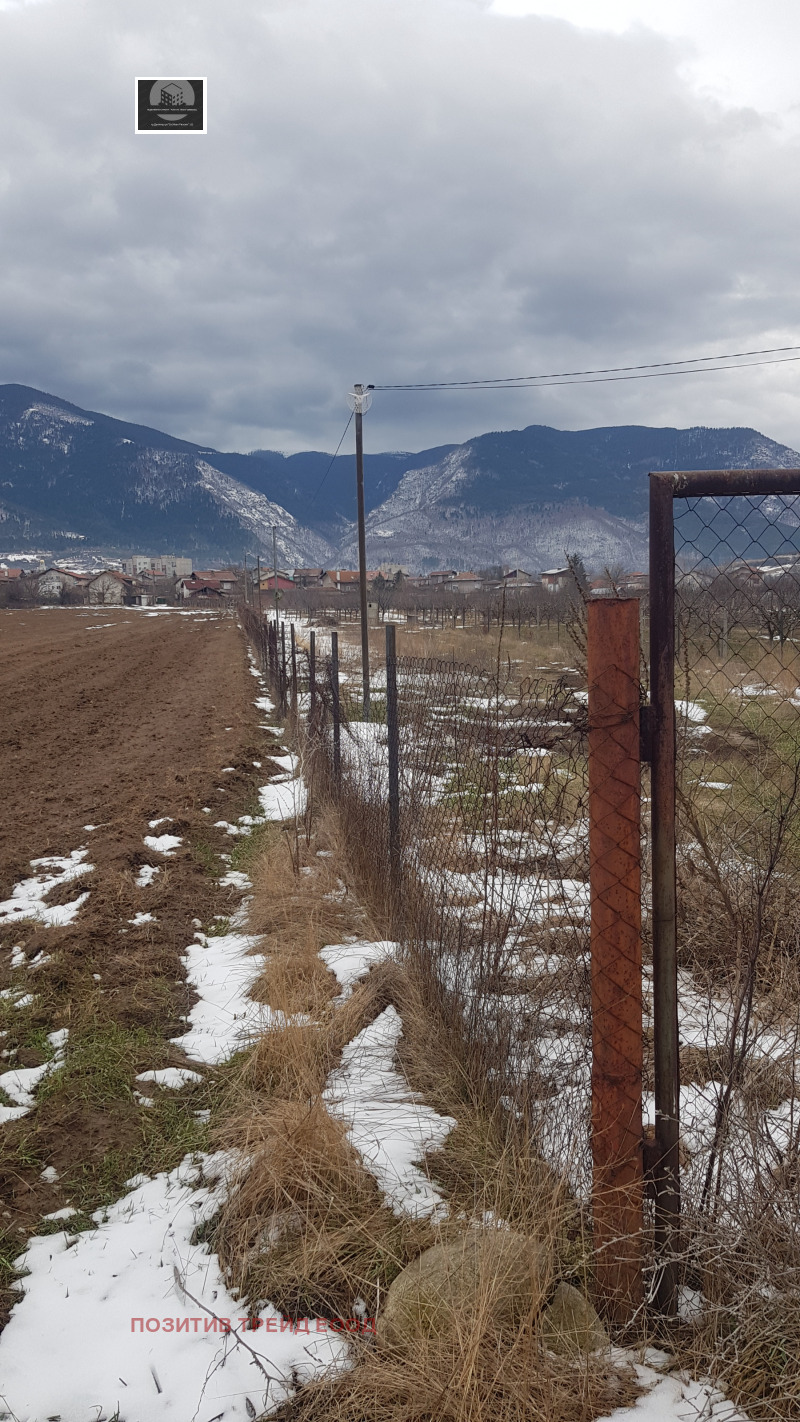 For Sale  Plot region Kyustendil , Samoranovo , 2000 sq.m | 67174909 - image [2]