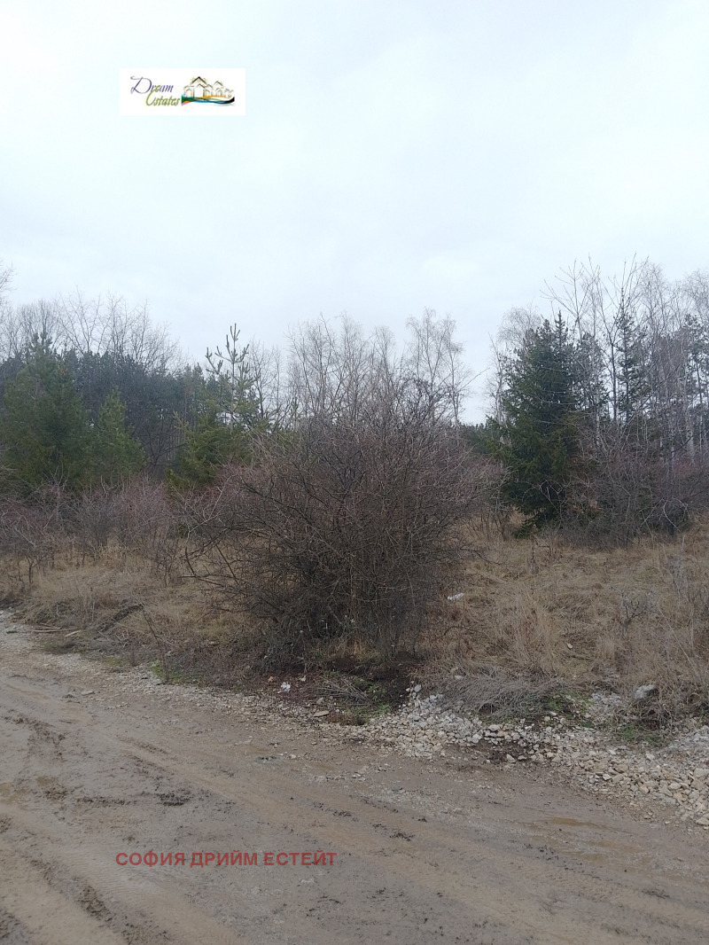 Продава ПАРЦЕЛ, гр. София, гр. Банкя, снимка 10 - Парцели - 53082517