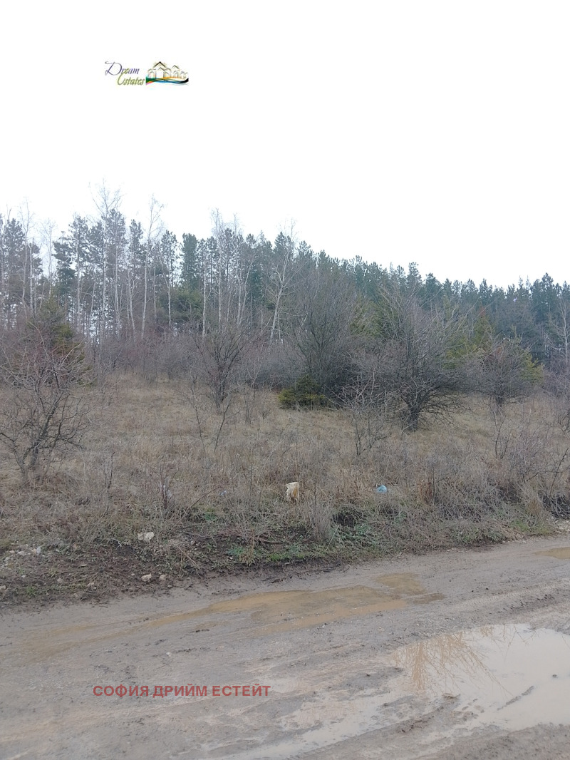 Продава ПАРЦЕЛ, гр. София, гр. Банкя, снимка 2 - Парцели - 53082517