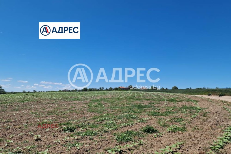 Продава ПАРЦЕЛ, с. Здравец, област Варна, снимка 3 - Парцели - 53467291