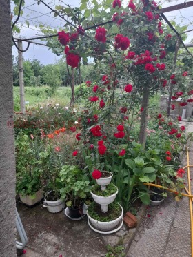 ������� ���� | Imot.bg � ����� ������ 17
