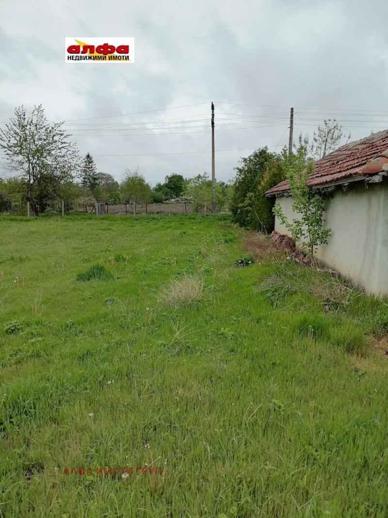 In vendita  Complotto regione Dobrič , Metodievo , 1000 mq | 45263565 - Immagine [2]
