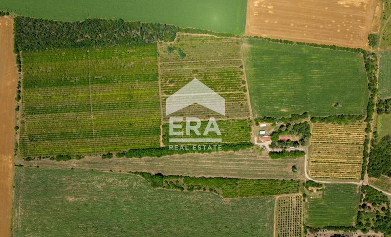 For Sale  Plot region Ruse , Chervena voda , 188070 sq.m | 87511658 - image [3]