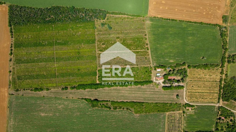 For Sale  Plot region Ruse , Chervena voda , 188070 sq.m | 87511658