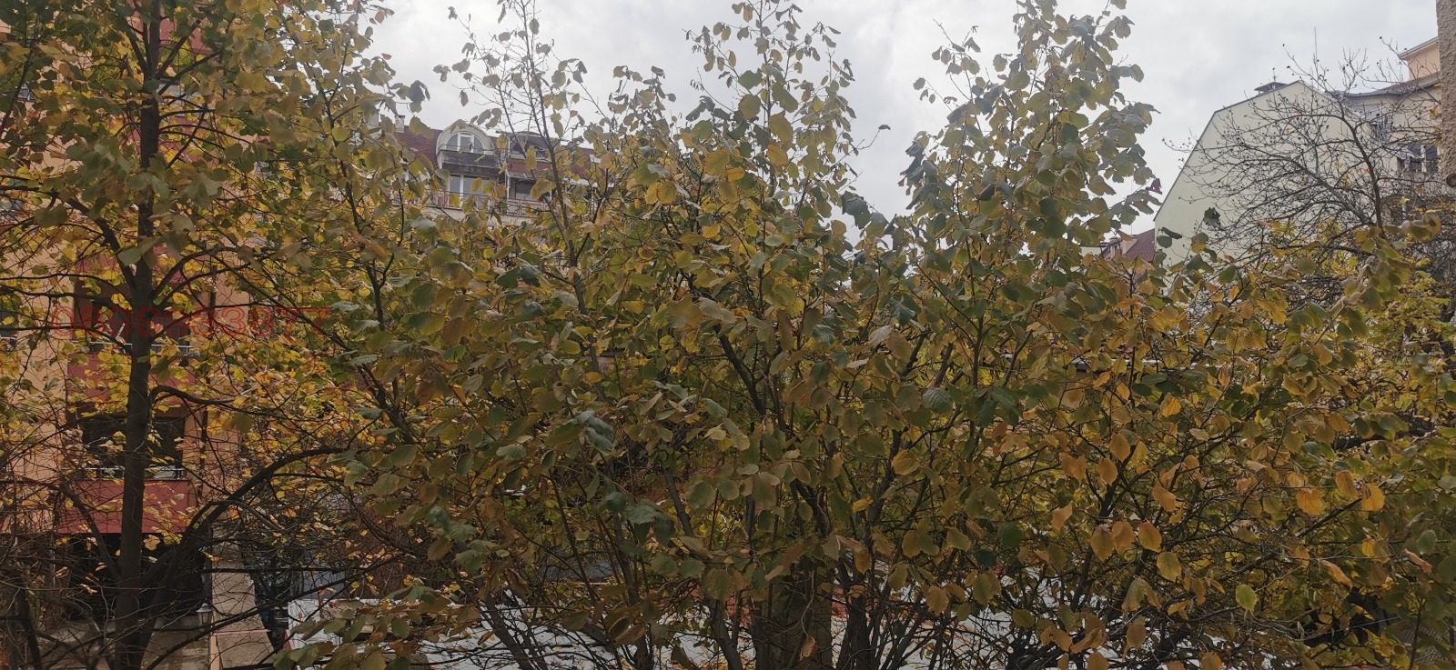 Продава 3-СТАЕН, гр. София, Белите брези, снимка 8 - Апартаменти - 53673768