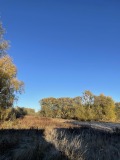 Продава ЗЕМЕДЕЛСКА ЗЕМЯ, гр. Батак, област Пазарджик, снимка 2