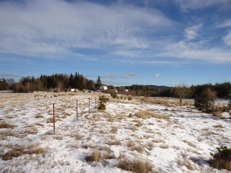 Продава ЗЕМЕДЕЛСКА ЗЕМЯ | Imot.bg — изображение 3