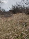 Продава ПАРЦЕЛ, гр. Кърджали, Прилепци, снимка 3