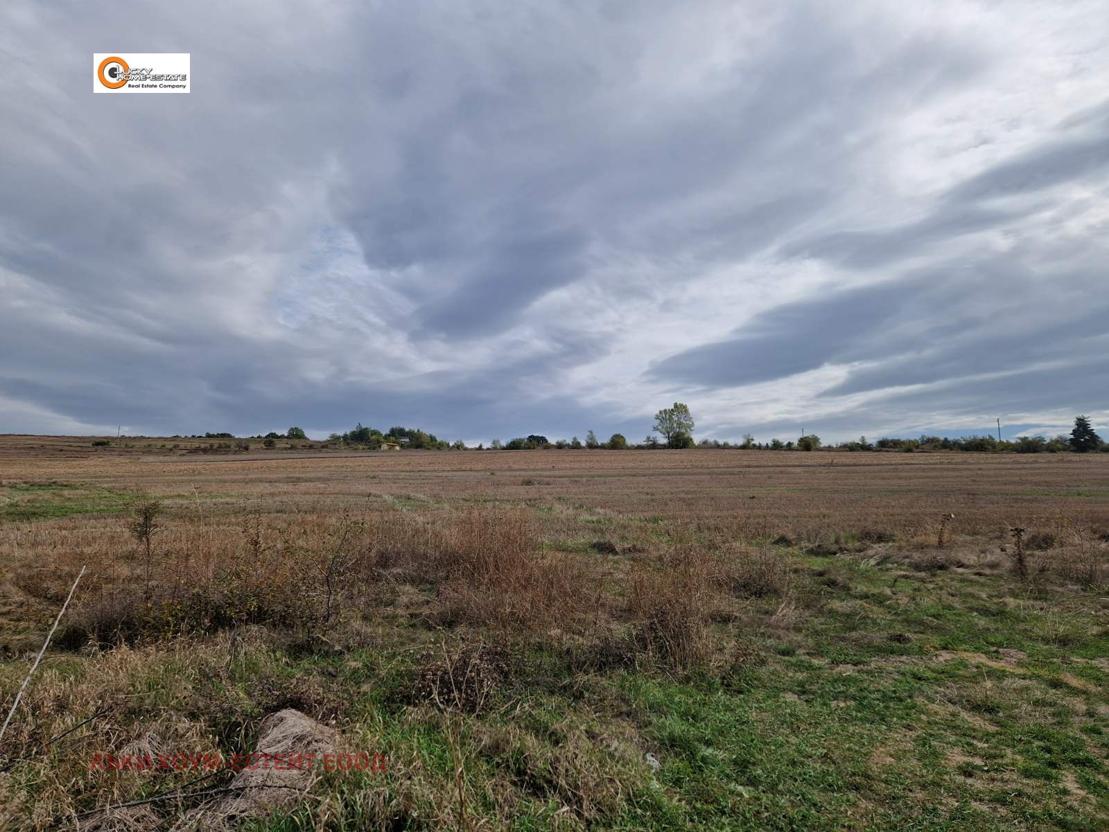 ������� ������ | Imot.bg � ����������� 5