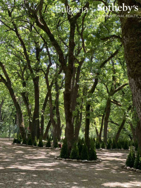 ������� ���� | Imot.bg � ����� ������ 3