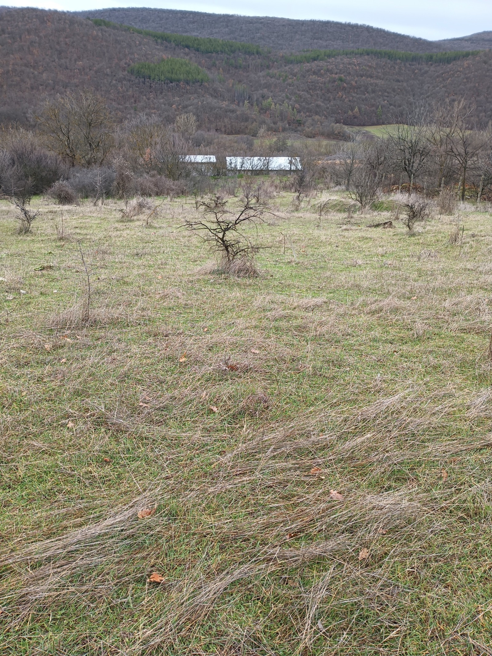 Продава ПАРЦЕЛ, с. Лясково, област Стара Загора