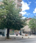 Продава МАГАЗИН, град София, Редута • 250000 € • 19704801 — Holmes.bg