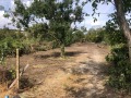 Продава  Парцел област Варна , с. Доброглед , 770 кв.м | 36377060 - изображение [2]