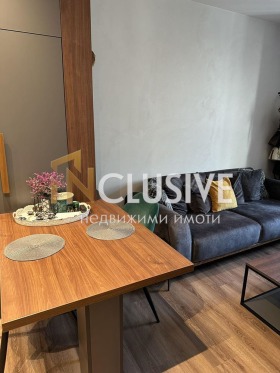 1 bedroom Gradina, Sofia 6