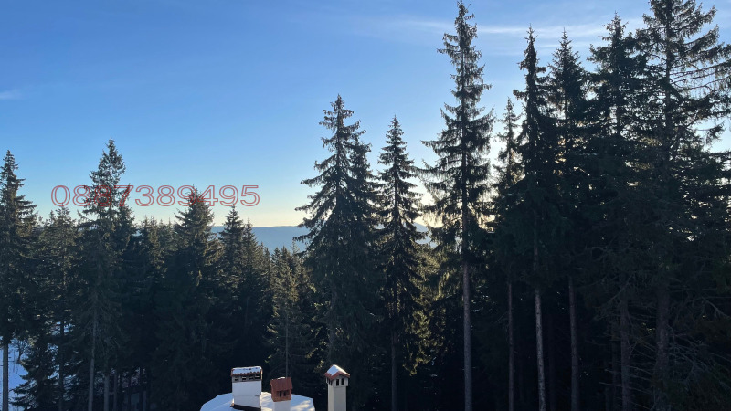 Продава 1-СТАЕН, к.к. Пампорово, област Смолян, снимка 6 - Апартаменти - 52779109