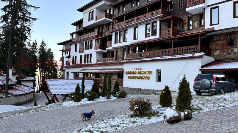 Продава 1-СТАЕН, к.к. Пампорово, област Смолян, снимка 7 - Апартаменти - 52779109