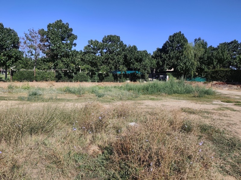 Продава ПАРЦЕЛ, с. Марикостиново, област Благоевград, снимка 4 - Парцели - 52723293