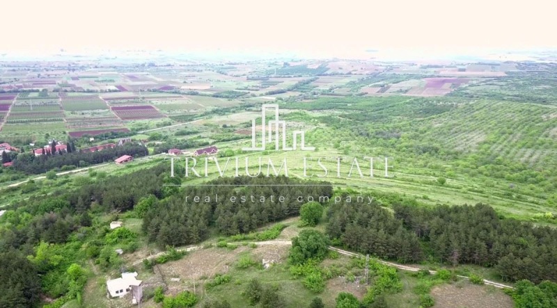 Продава ПАРЦЕЛ, с. Брестовица, област Пловдив, снимка 2 - Парцели - 53094055