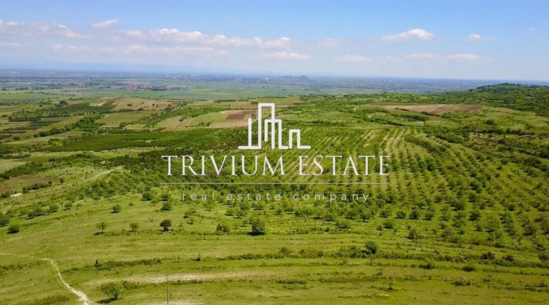 Продава ПАРЦЕЛ, с. Брестовица, област Пловдив, снимка 3 - Парцели - 53094055