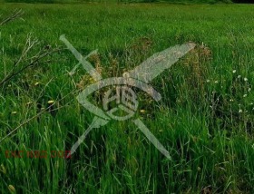 Парцел гр. Стамболийски, област Пловдив