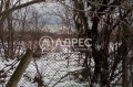 Продава ПАРЦЕЛ, с. Аврен, област Варна, снимка 2
