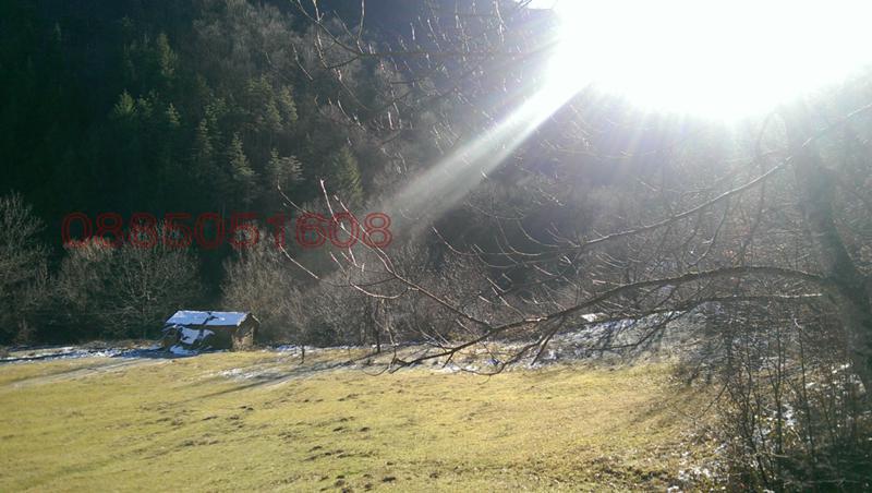 ������� ������ | Imot.bg � ����������� 6