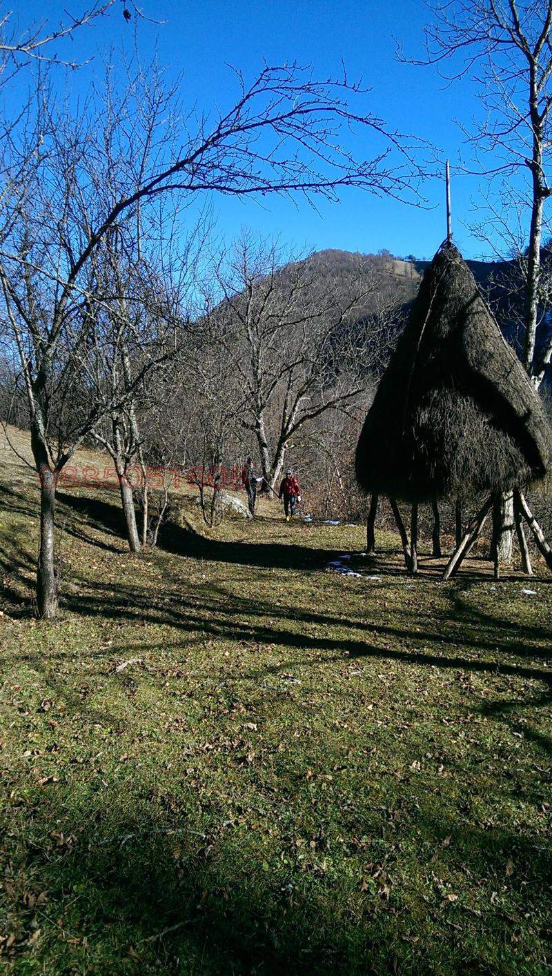 ������� ������ | Imot.bg � ����������� 5