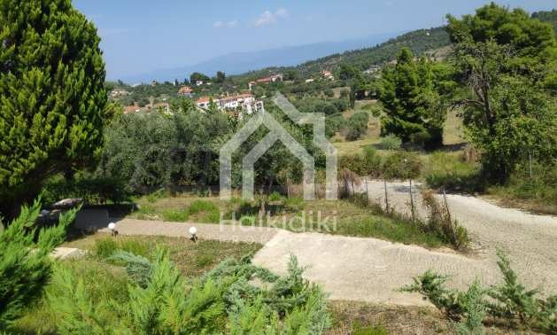 ������� ������ | Imot.bg � ����������� 6