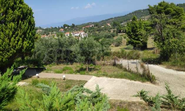 ������� ������ | Imot.bg � ����������� 3