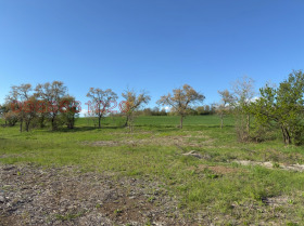 Grund yaz. Pchelina, region Pernik 6