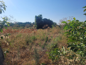 ������� ������ | Imot.bg � ����� ������ 2