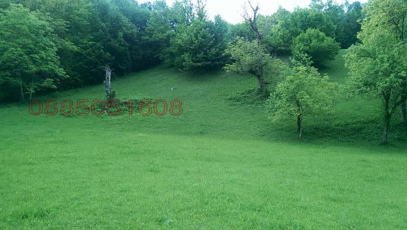 Продава ПАРЦЕЛ, гр. Тетевен, област Ловеч, снимка 2 - Парцели - 52902372