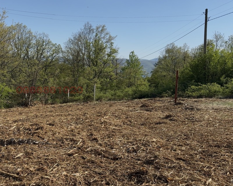 In vendita  Complotto regione Pernik , iaz. Pchelina , 790 mq | 97228669 - Immagine [2]