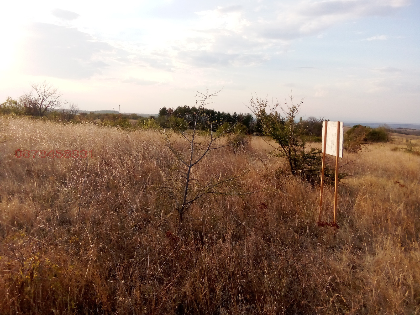 Продава ПАРЦЕЛ, с. Главан, област Стара Загора, снимка 3 - Парцели - 53680625