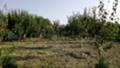 Продава ПАРЦЕЛ, град Плевен, м-т Плочата • 62000 лв. • 53648060 — Holmes.bg