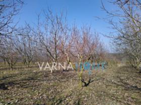 Продажба на имоти в с. Крушари, област Добрич - изображение 3 