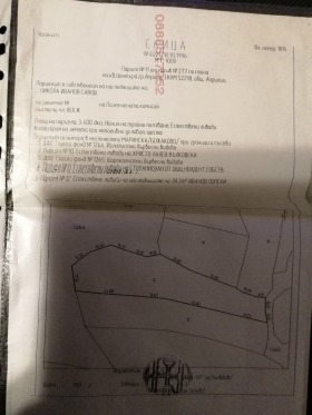 ����� ������� ������,��. �������, ������ �����