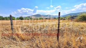 ����� ������� ������,�. ��������, ������ ���������