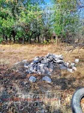 ������� ������ | Imot.bg � ����� ������ 8