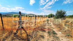 ������� ������ | Imot.bg � ����� ������ 7