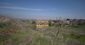 ������ ������� ������