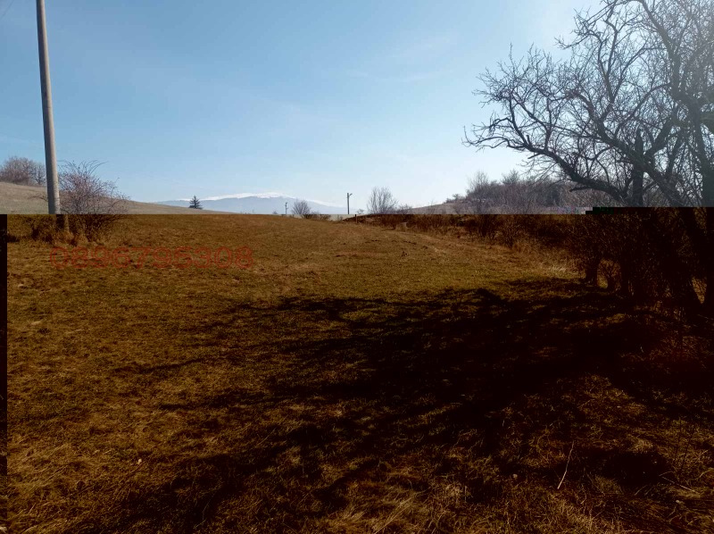 Продава ЗЕМЕДЕЛСКА ЗЕМЯ, с. Люлин, област Перник, снимка 3 - Земеделска земя - 52779939