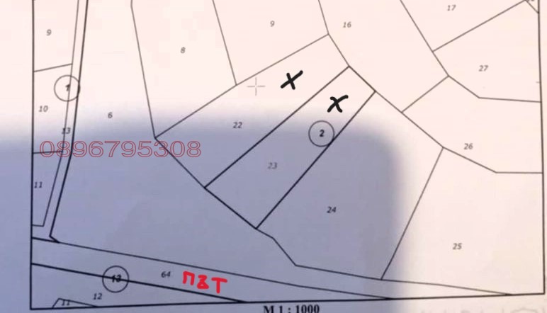 Продава ЗЕМЕДЕЛСКА ЗЕМЯ, с. Люлин, област Перник, снимка 2 - Земеделска земя - 52779939