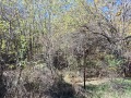 Продава ПАРЦЕЛ, с. Горна Диканя, област Перник, снимка 2