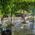 Продава КЪЩА, област Варна, с. Кипра • 180000 € • 23000905 — Holmes.bg