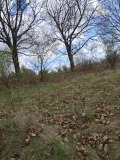 Продава ПАРЦЕЛ, град София, с. Войнеговци • 95999 € • 18786658 — Holmes.bg