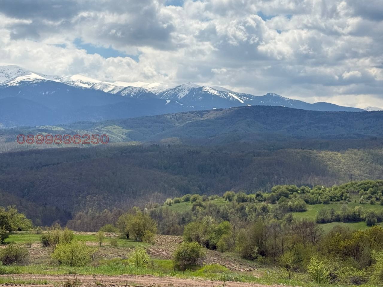 ������� ������ | Imot.bg � ����������� 4